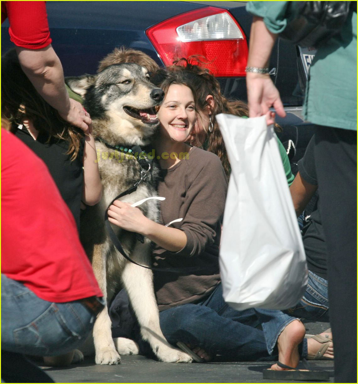 Drew Barrymore's Puppy Love: Photo 2417820 | Drew Barrymore Pictures