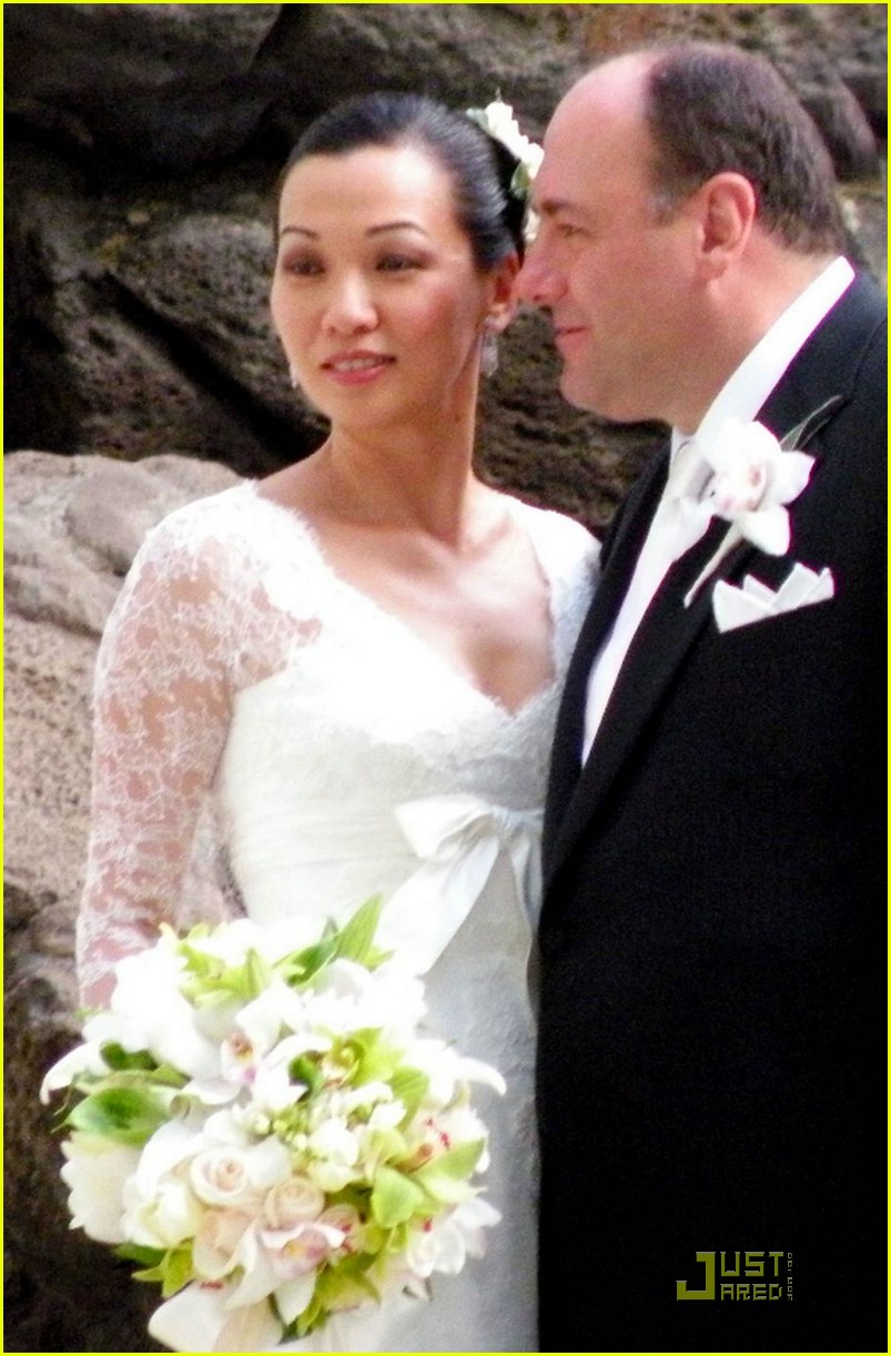 James Gandolfini Wedding Pictures Photo 1383791 Deborah Lin, James Gandolfini, Wedding