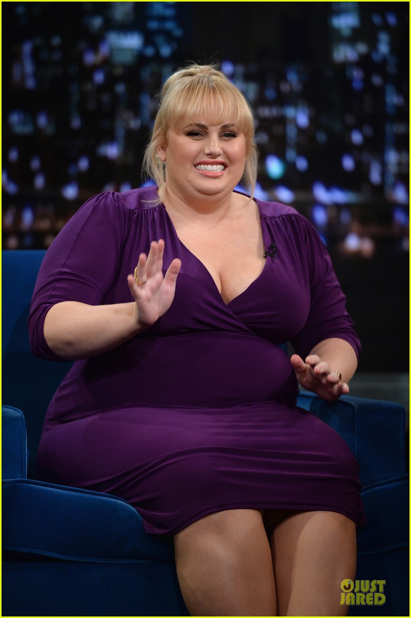 rebel wilson super fun night