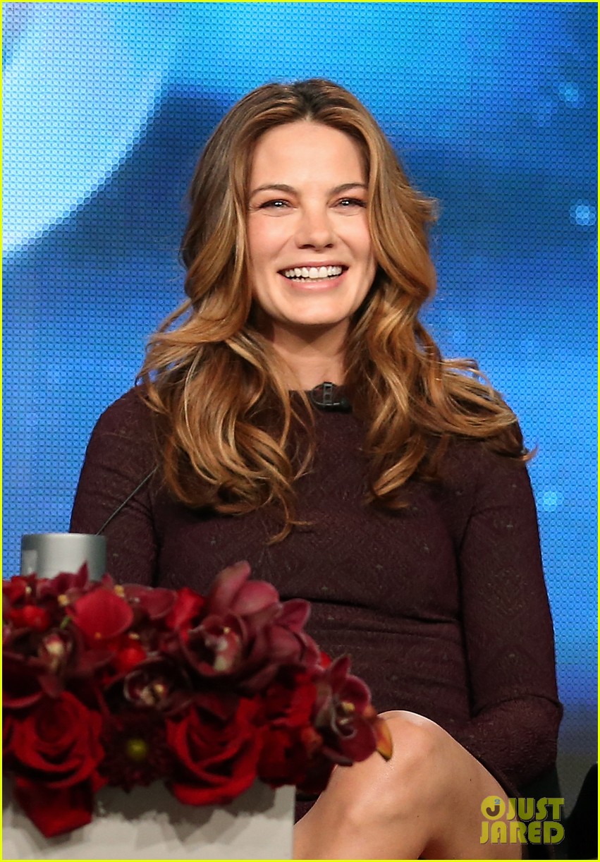 Matthew Mcconaughey True Detective Tca Winter Tour Panel
