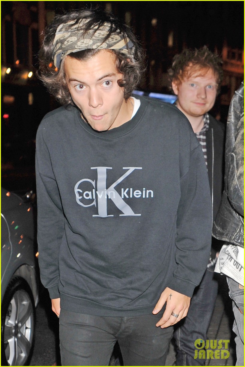 Harry Styles Liam Payne Show Their Support For Stylist Lou