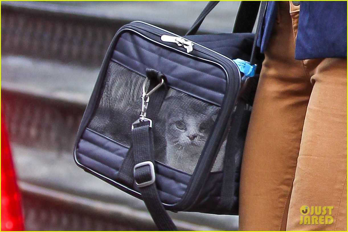 Taylor Swift Brings Her Pet Cat Meredith Around NYC in Travel Carrier