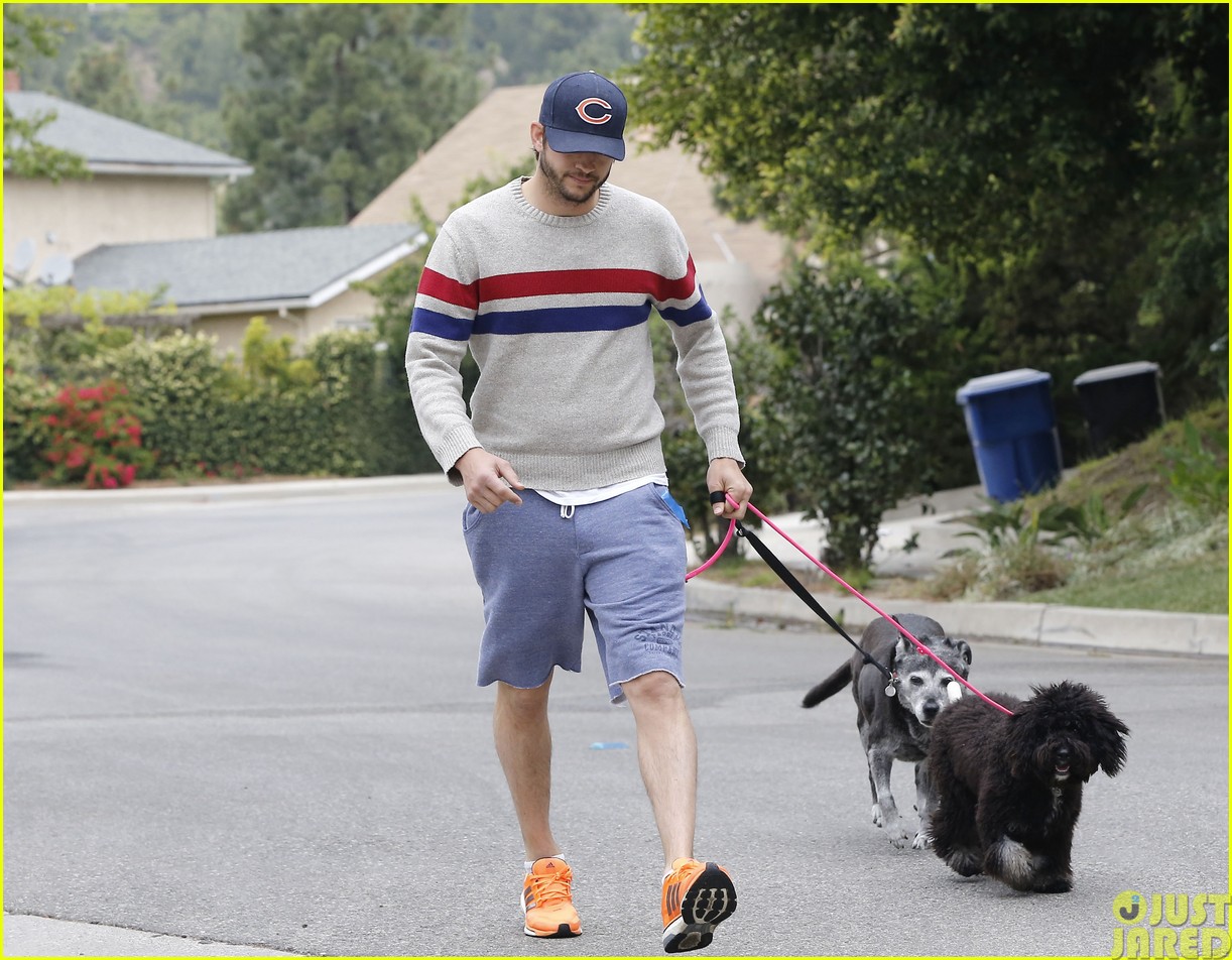 Ashton Kutcher Takes His Dogs For a Walk Without Mila Kunis! Photo