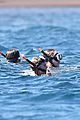 taylor swifts belly button baring beach day new bikini pics 38