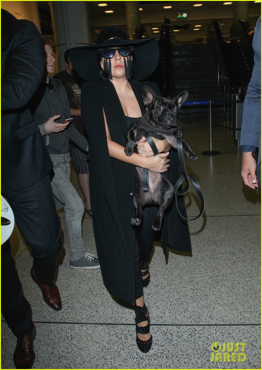 Gagas essay 07 image