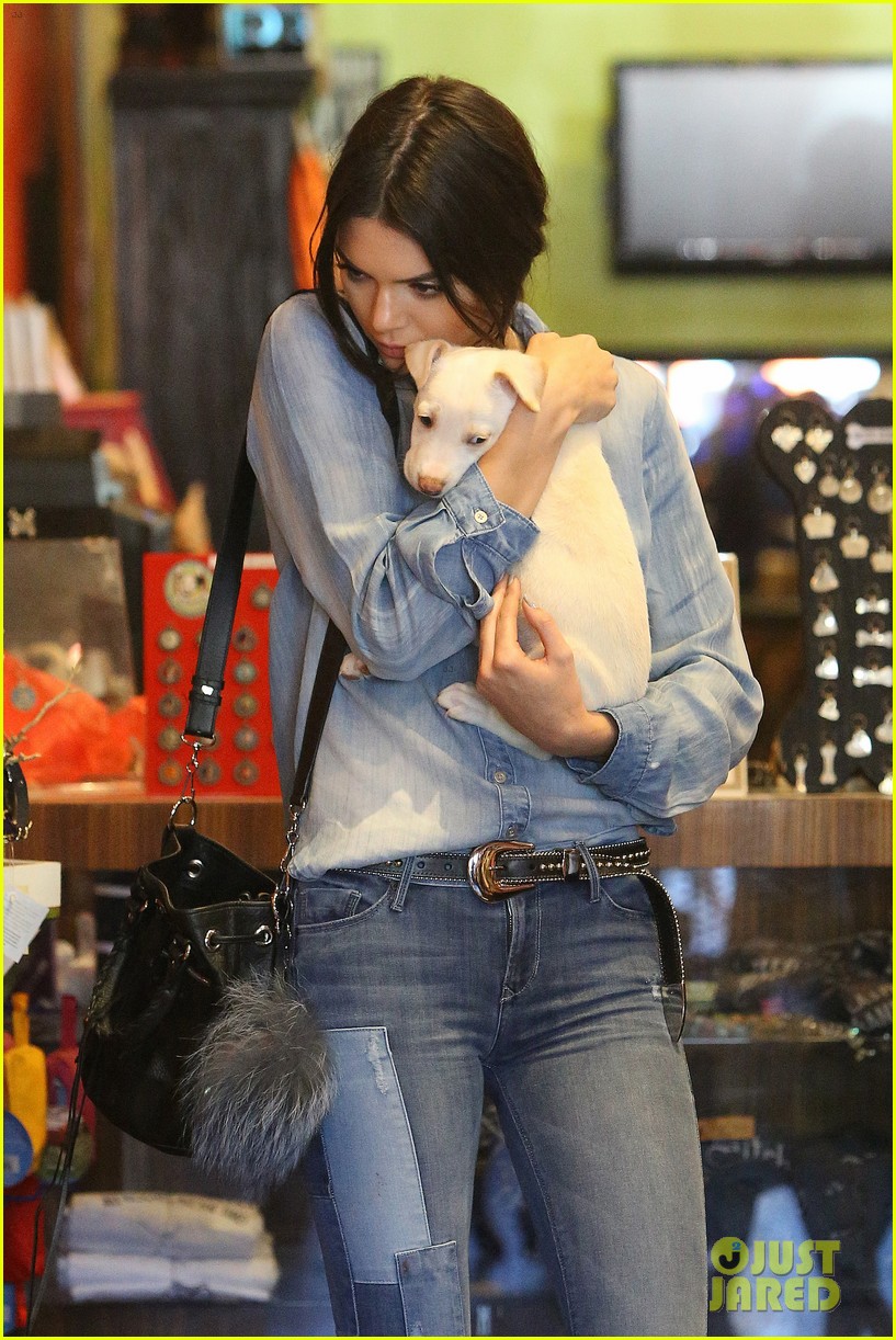 Did Kendall Jenner Just Adopt a Super Cute Puppy? Photo 3394053