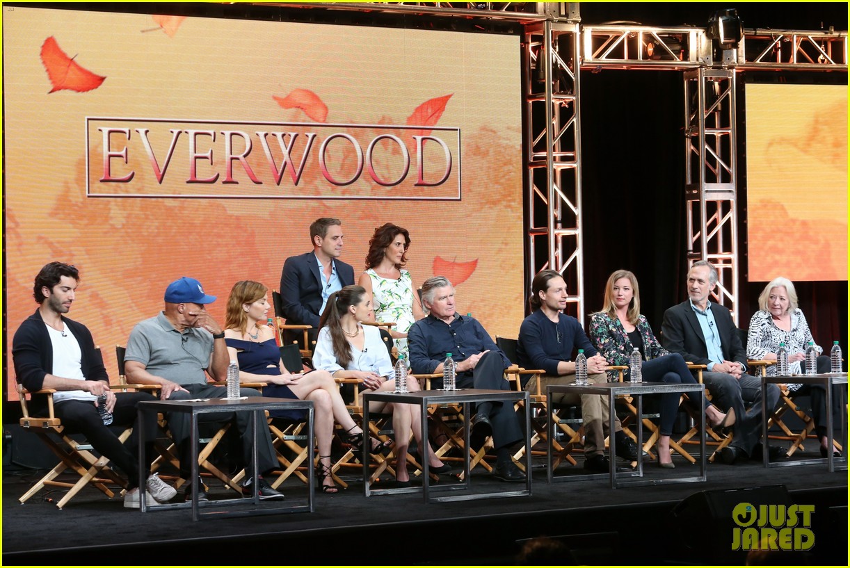 ‘Everwood’ Cast Holds Epic Reunion, Talks Possible Reboot: Photo