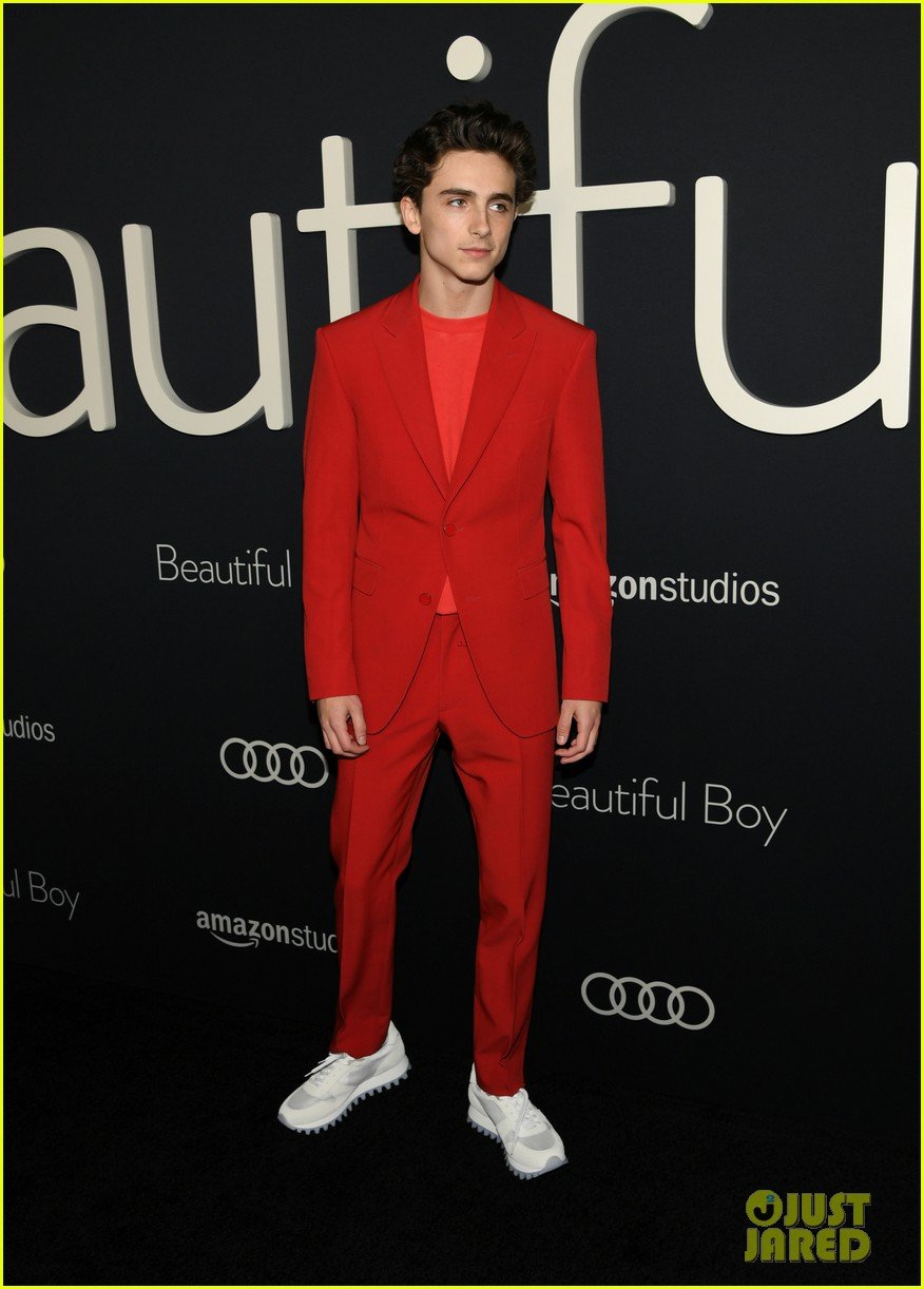 Timothee Chalamet & Steve Carell Premiere 'Beautiful Boy' in LA: Photo