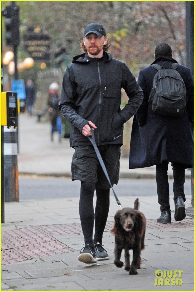 Tom Hiddleston Flashes a Big Smile While Walking His Dog Photo 4188602