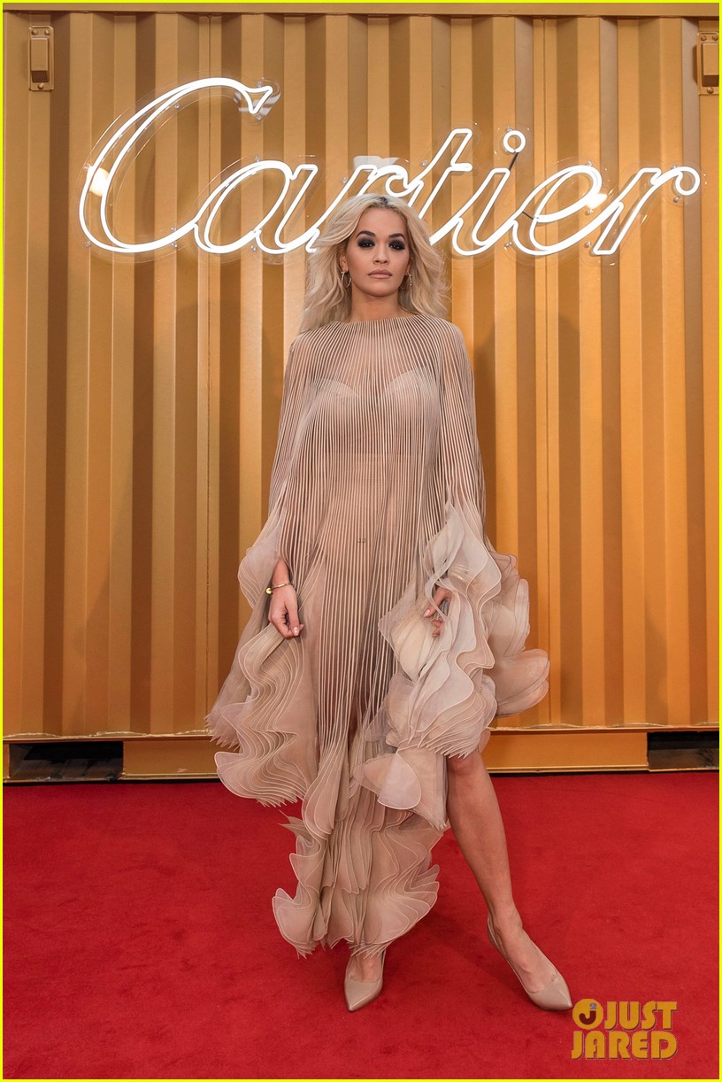 Rita Ora & Elizabeth Debicki Get Glam at Cartier Precious Garage Party