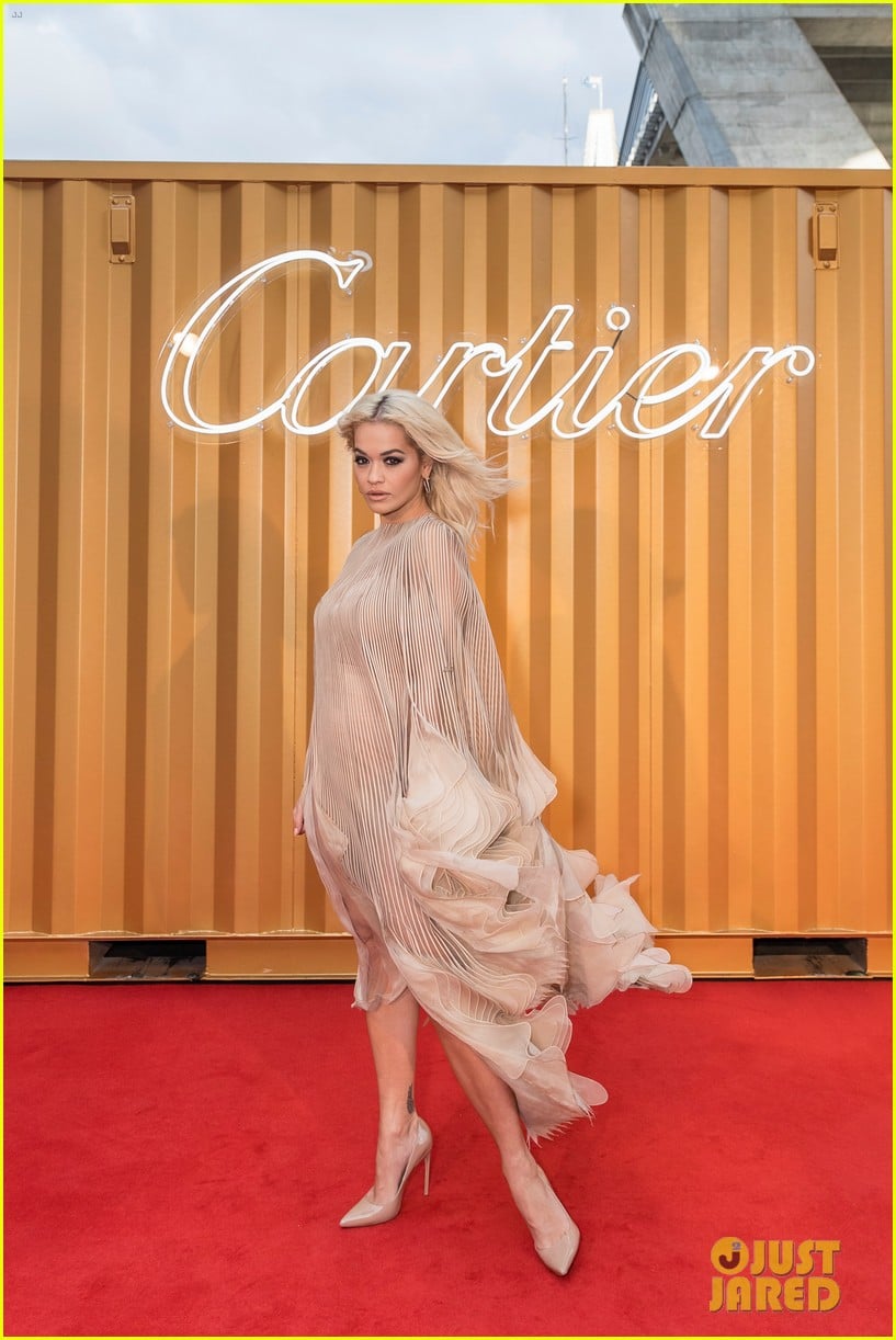 Rita Ora & Elizabeth Debicki Get Glam at Cartier Precious Garage Party