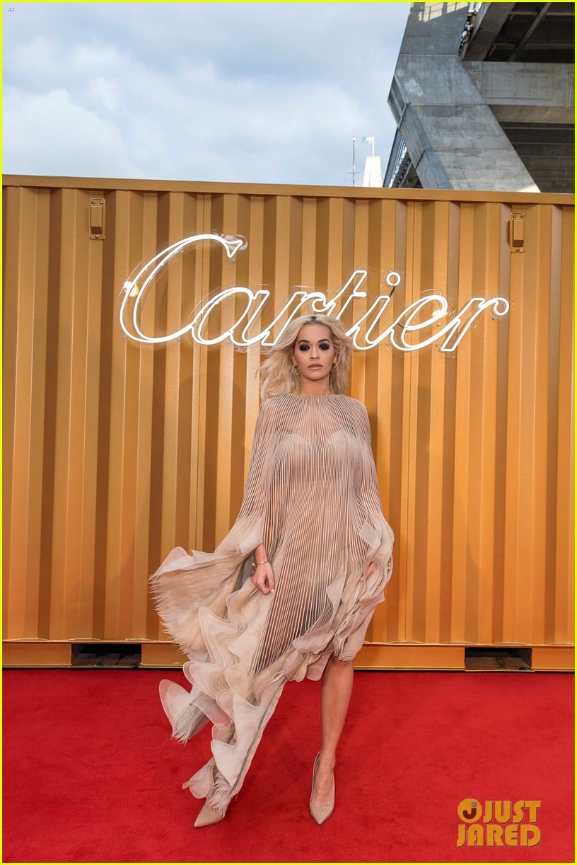 Rita Ora & Elizabeth Debicki Get Glam at Cartier Precious Garage Party