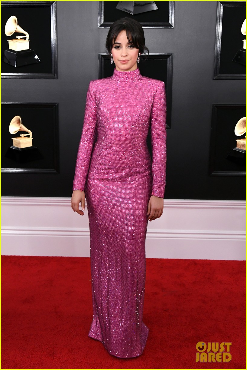 Camila Cabello Sparkles In Pink For Grammys 2019: Photo 4235795 | 2019