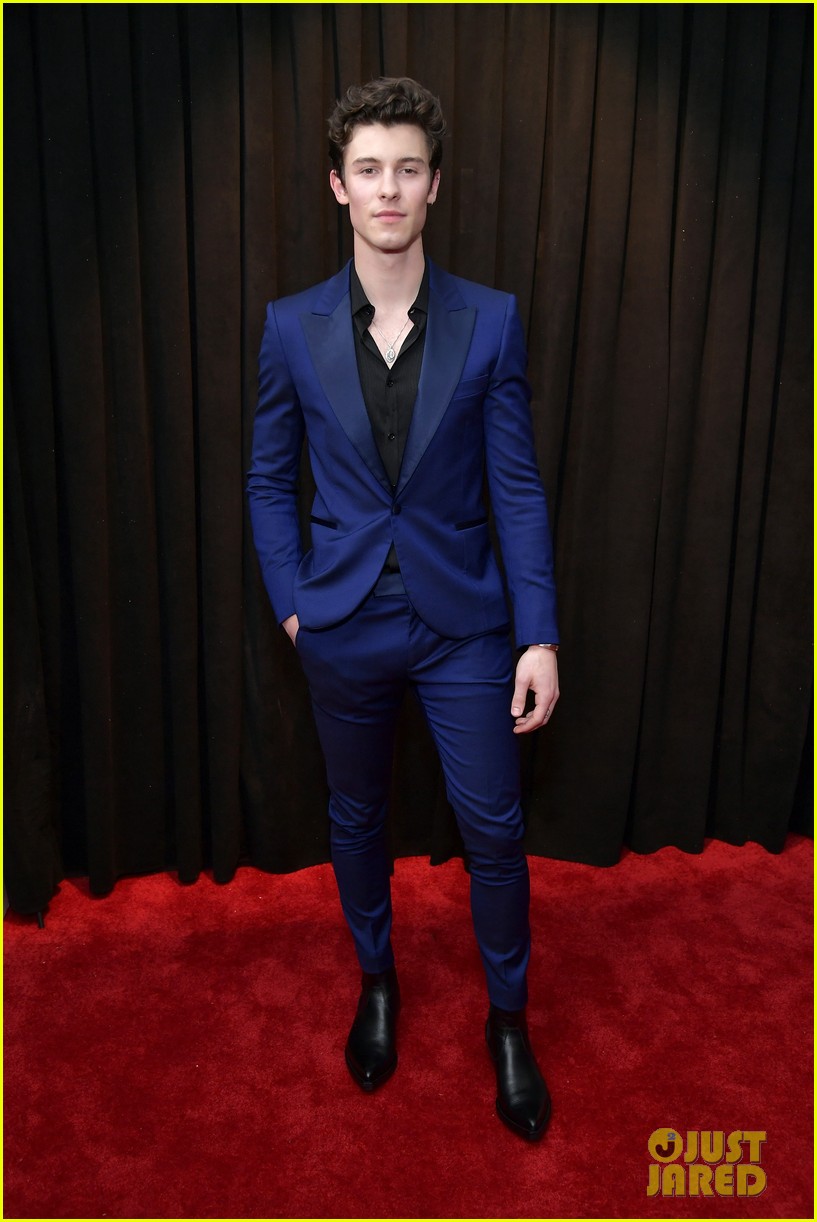 Shawn Mendes Looks Sharp in a Blue Suit at Grammys 2019 Photo 4236061