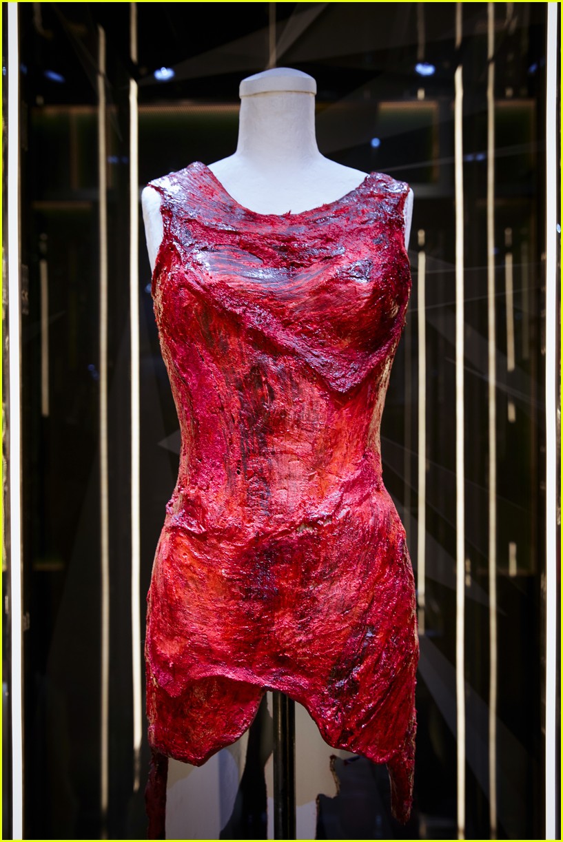 Look Inside Lady Gaga's Haus of Gaga Exhibit with These Amazing Photos