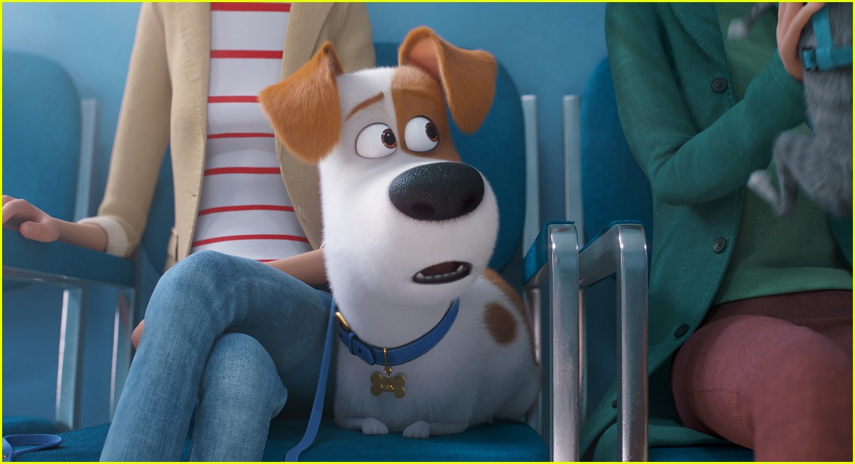 ‘The Secret Life of Pets 2’ Voice Cast, Including New Max Actor