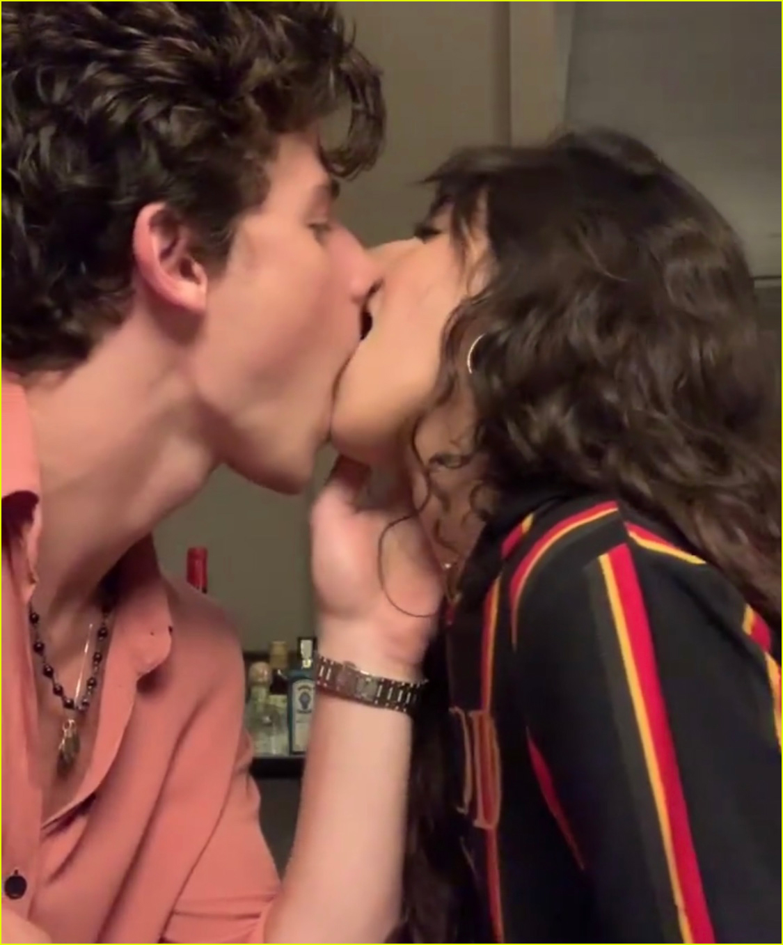 Shawn Mendes Camila Cabello Poke Fun At Fans Saying They Kiss Like Fish Watch Photo 4351457 Camila Cabello Shawn Mendes Video Pictures Just Jared