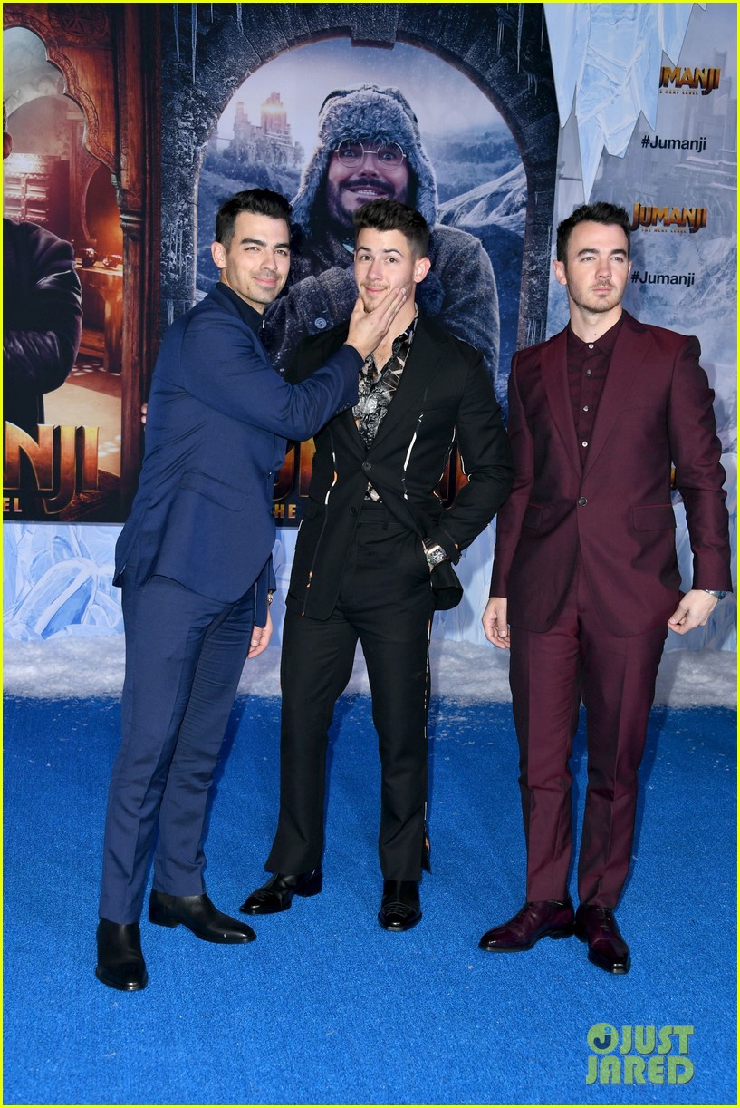 Nick Jonas' Brothers Support Him at 'Jumanji The Next Level' L.A