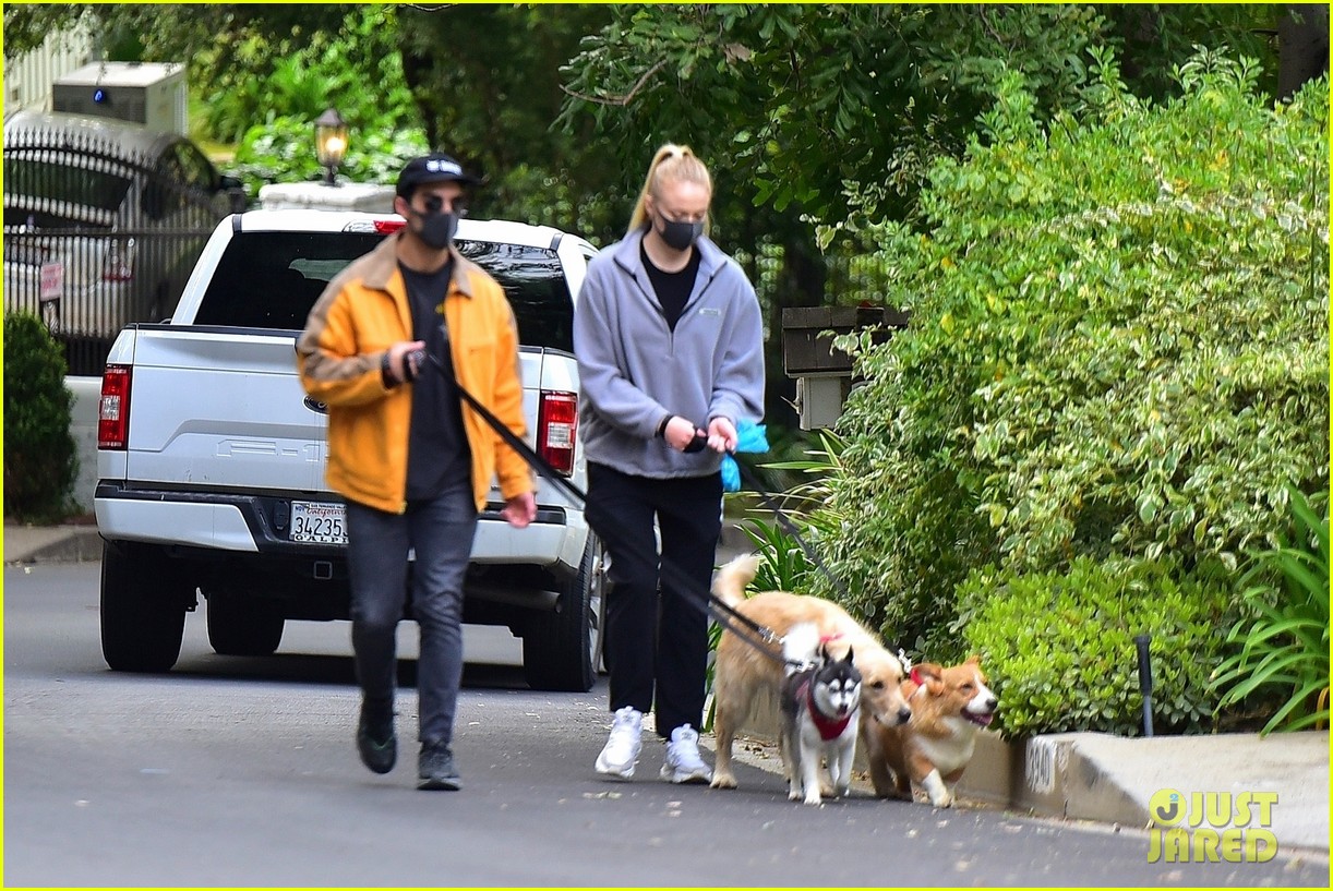 Joe Jonas & Sophie Turner Go For a Monday Afternoon Dog Walk: Photo