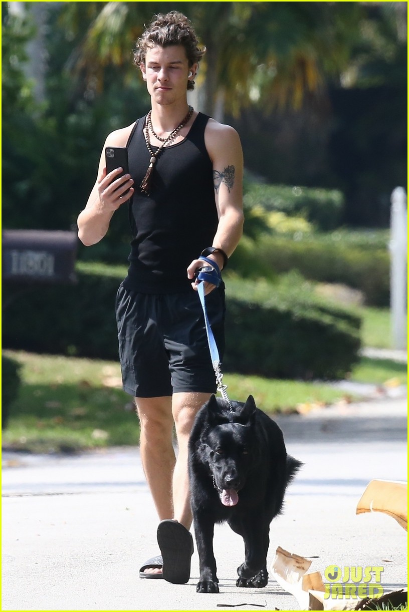 Shawn Mendes Takes Camila Cabello's Dog Thunder for a Walk Photo