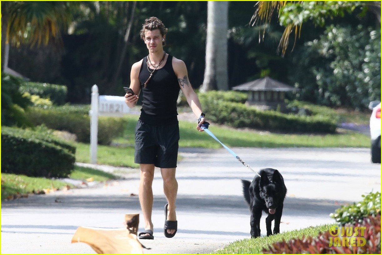 Shawn Mendes Takes Camila Cabello's Dog Thunder for a Walk Photo