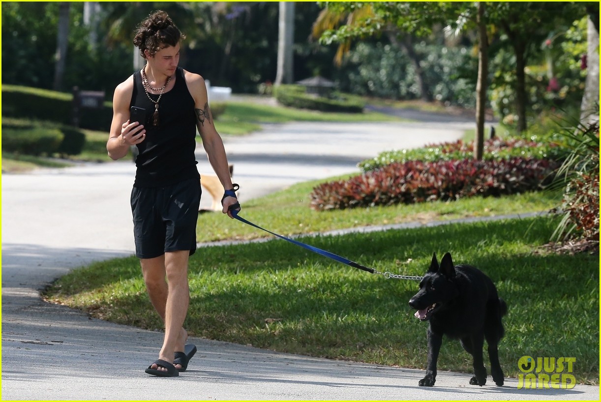 Shawn Mendes Takes Camila Cabello's Dog Thunder for a Walk Photo