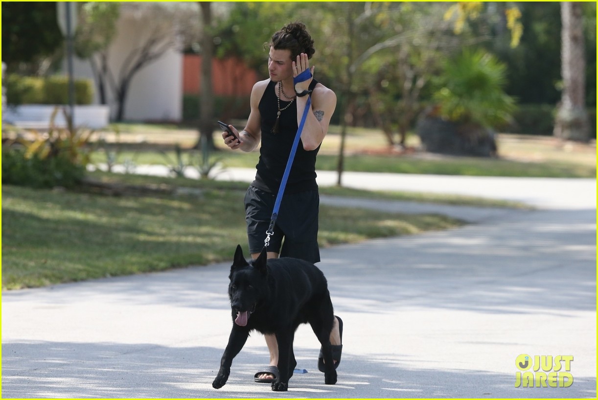 Shawn Mendes Takes Camila Cabello's Dog Thunder for a Walk Photo