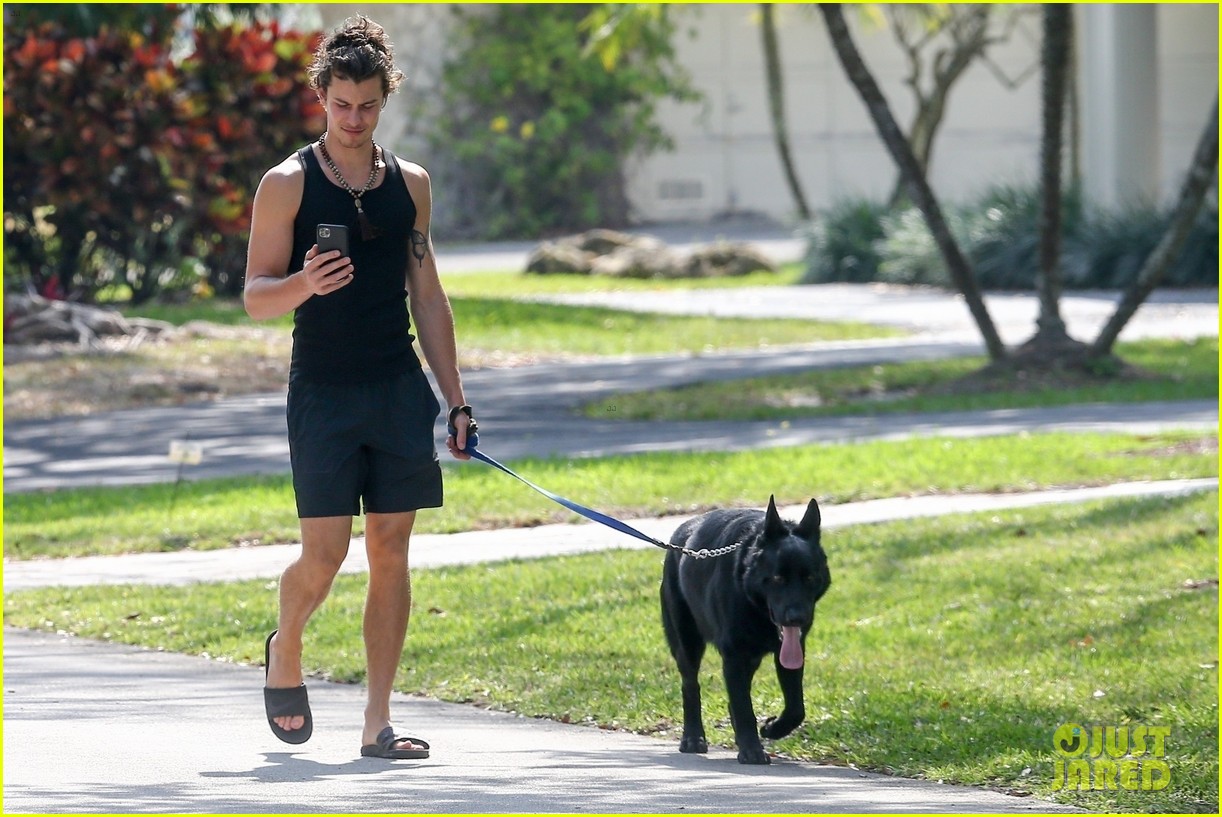 Shawn Mendes Takes Camila Cabello's Dog Thunder for a Walk Photo