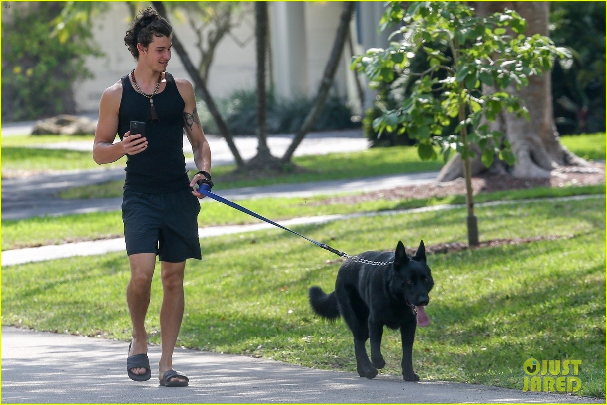 Shawn Mendes Takes Camila Cabello's Dog Thunder for a Walk Photo
