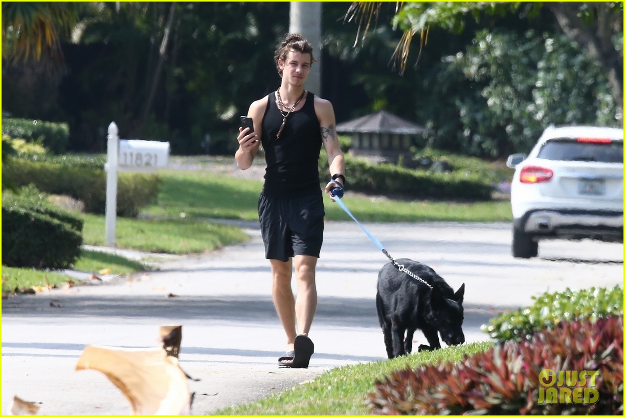Shawn Mendes Takes Camila Cabello's Dog Thunder for a Walk Photo