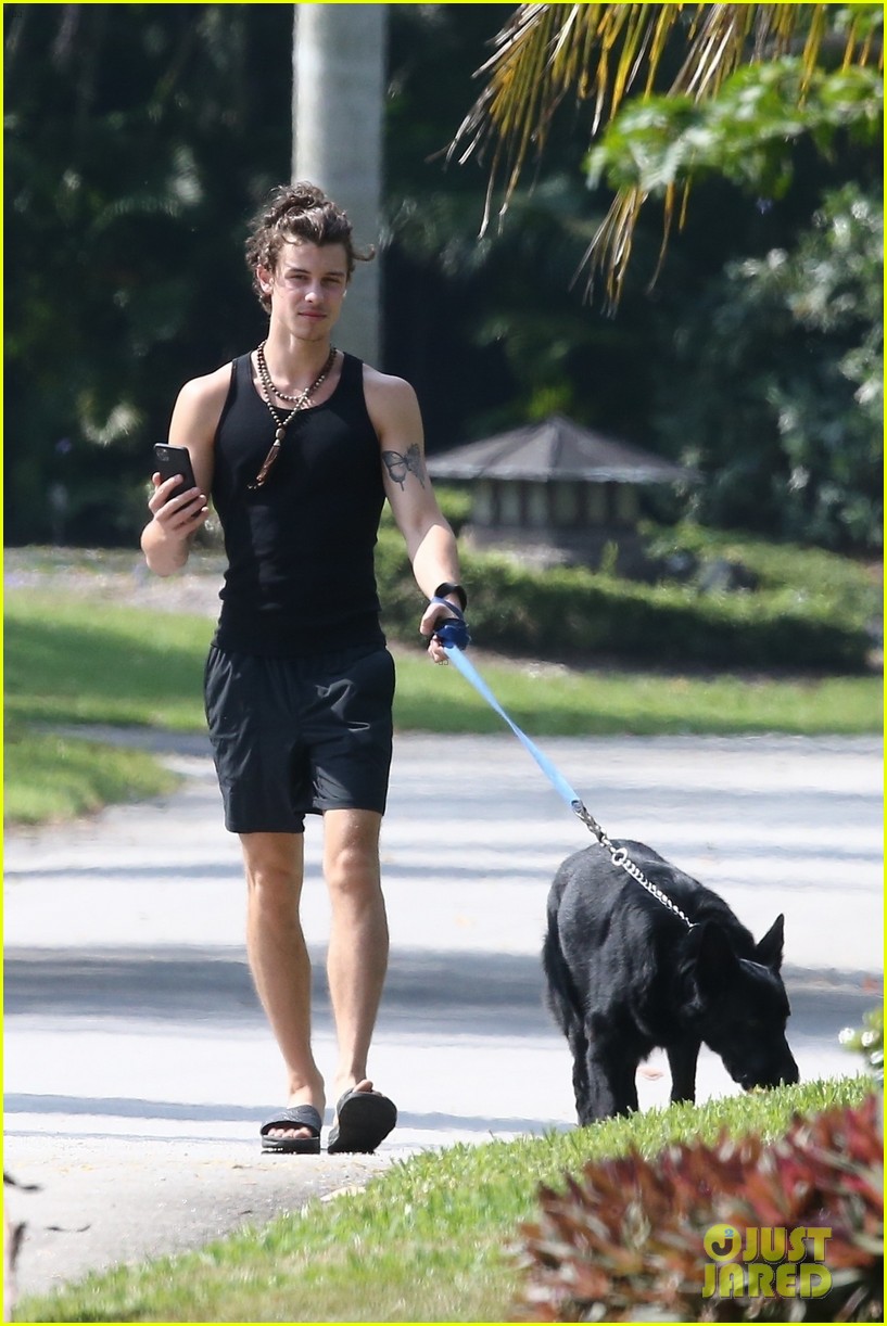 Shawn Mendes Takes Camila Cabello's Dog Thunder for a Walk Photo