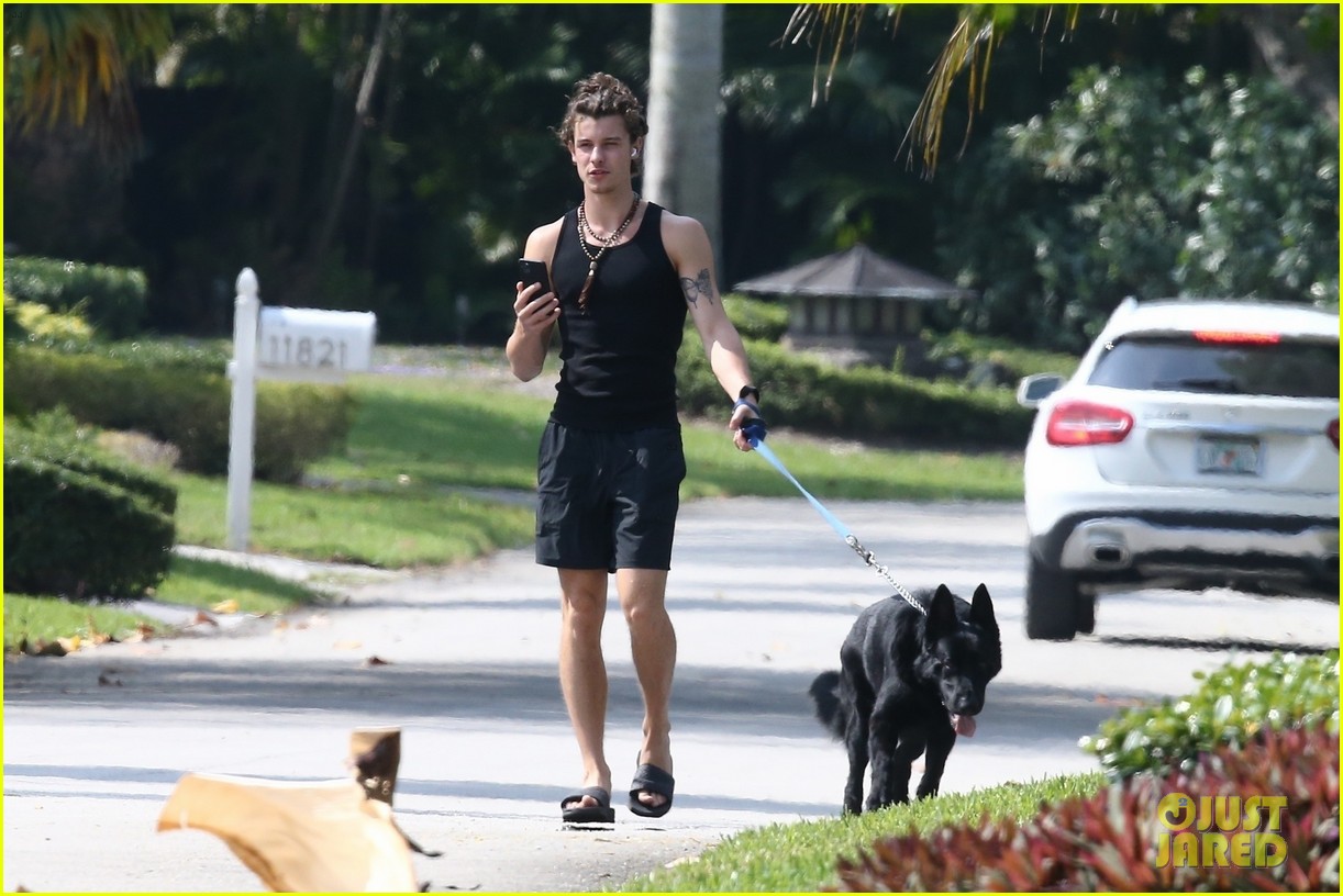 Shawn Mendes Takes Camila Cabello's Dog Thunder for a Walk Photo