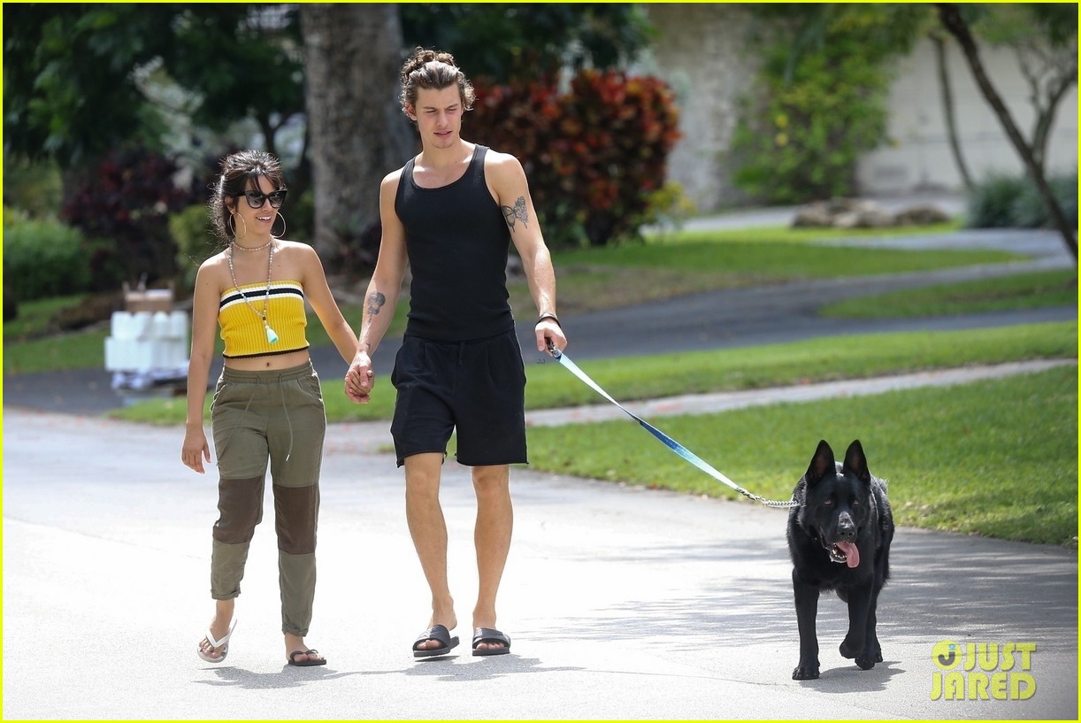 Shawn Mendes & Camila Cabello Take Her Dog Thunder For a Walk in