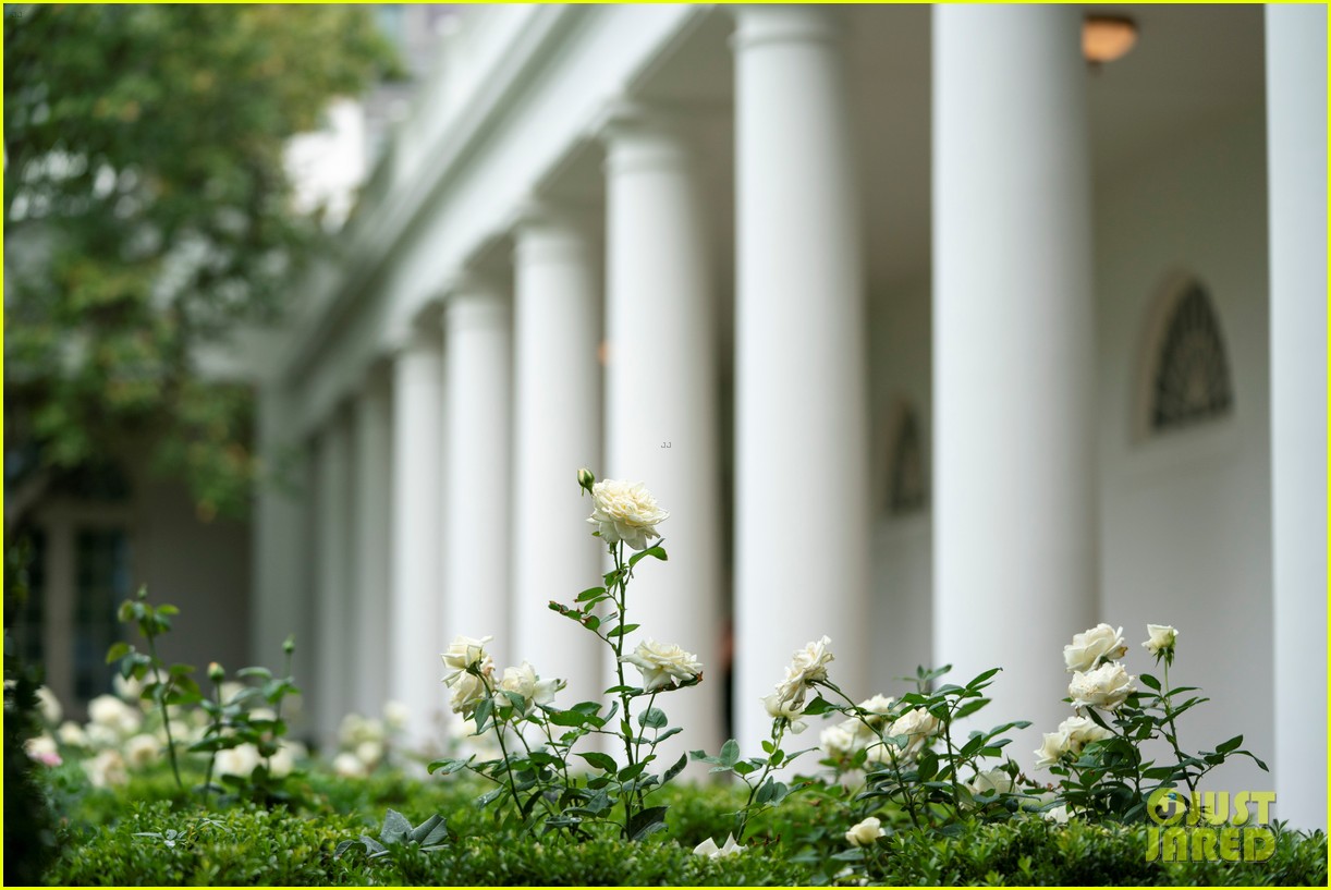 Melania Trump Renovated the White House's Rose Garden & These Photos