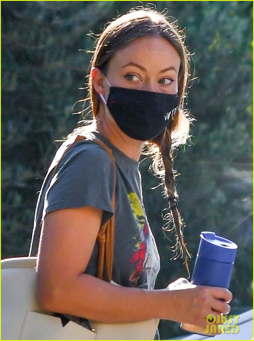 Olivia Wilde Wears Vote Face Mask One Day After