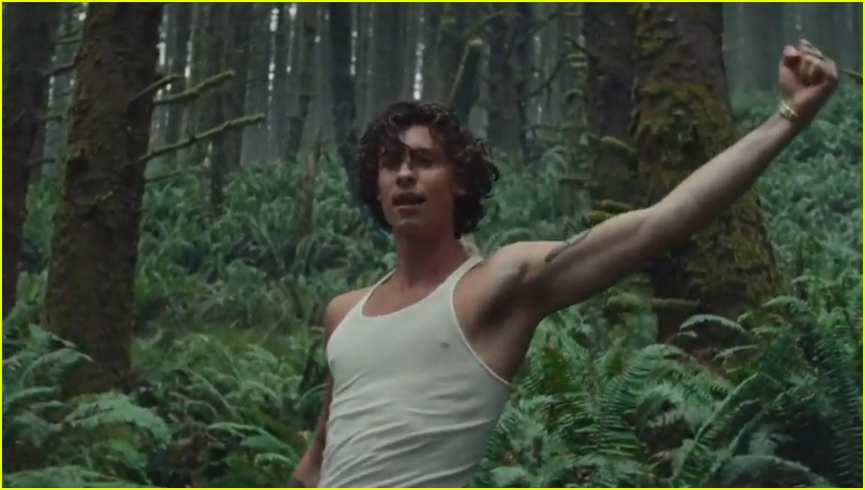 Shawn Mendes' New Song 'Wonder' Read Lyrics & Watch the Video Now! Photo 4489577 First