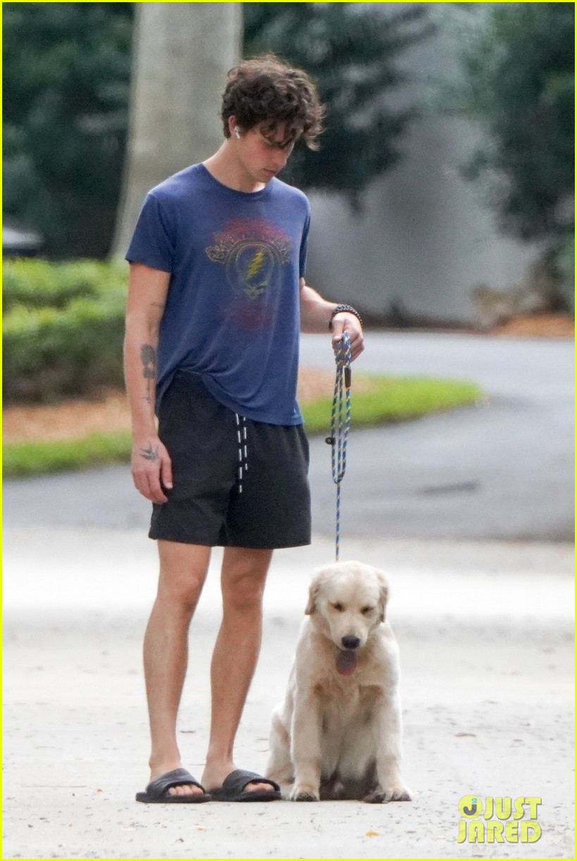 Shawn Mendes Takes Cute Pup Tarzan For a Walk In New Pics Photo
