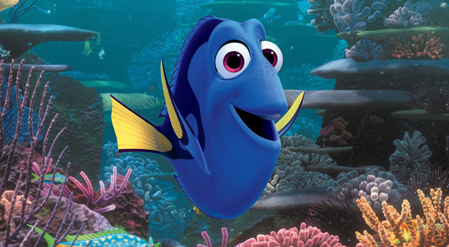 What Kind Of Fish Is Dory Blue Tangs Should Not Be Bought Ellen 