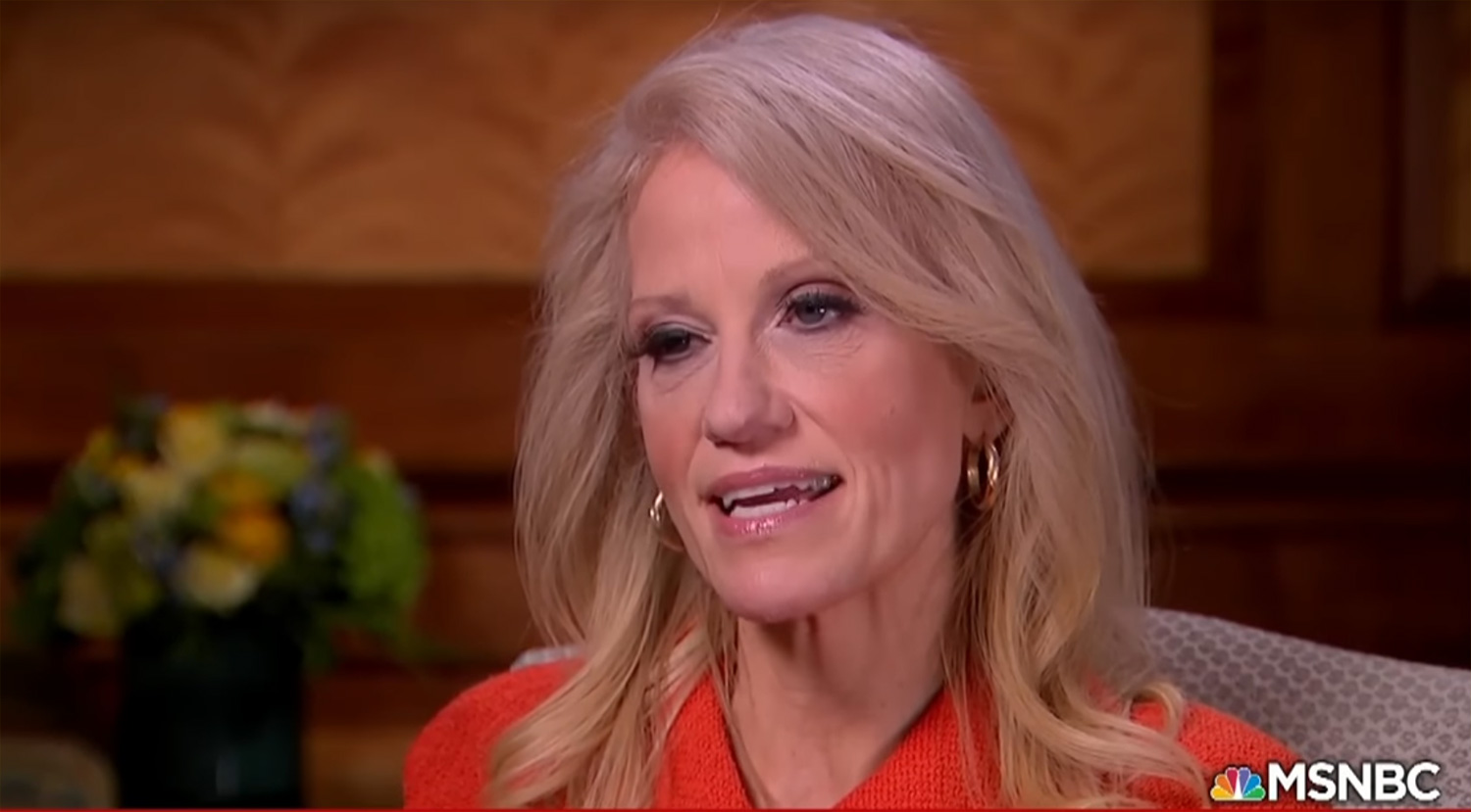 Kellyanne Conway Cites ‘Bowling Green Massacre’ That Never Happened, Tries to ...1500 x 829