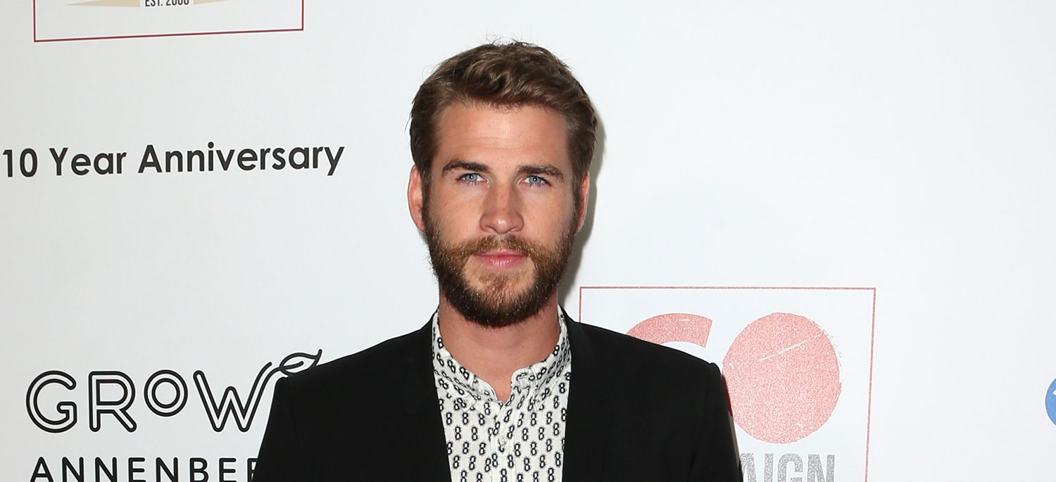 Liam Hemsworth Hits Surf Shop For Boards With Friends