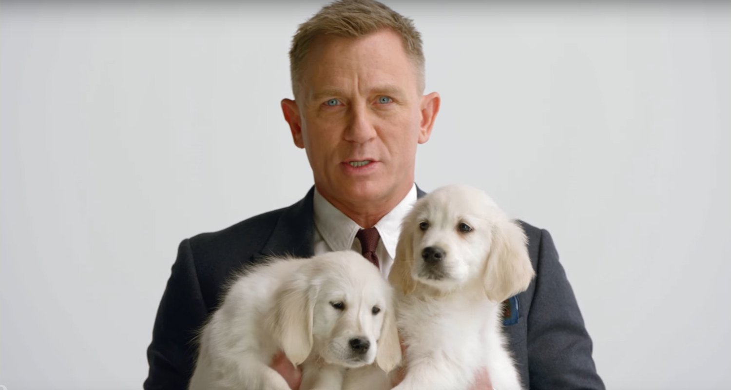 Daniel Craig Cuddles Up to Some Adorable Puppies For a Good Cause!