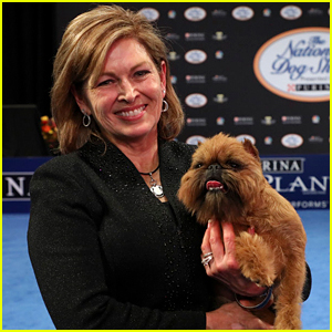national dog show best in breed