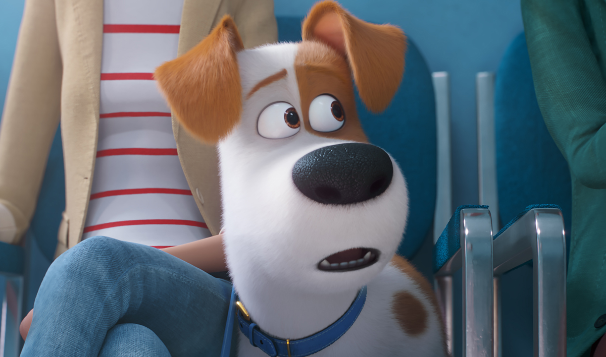 ‘Secret Life of Pets’ Sequel Gets a Brand New Trailer