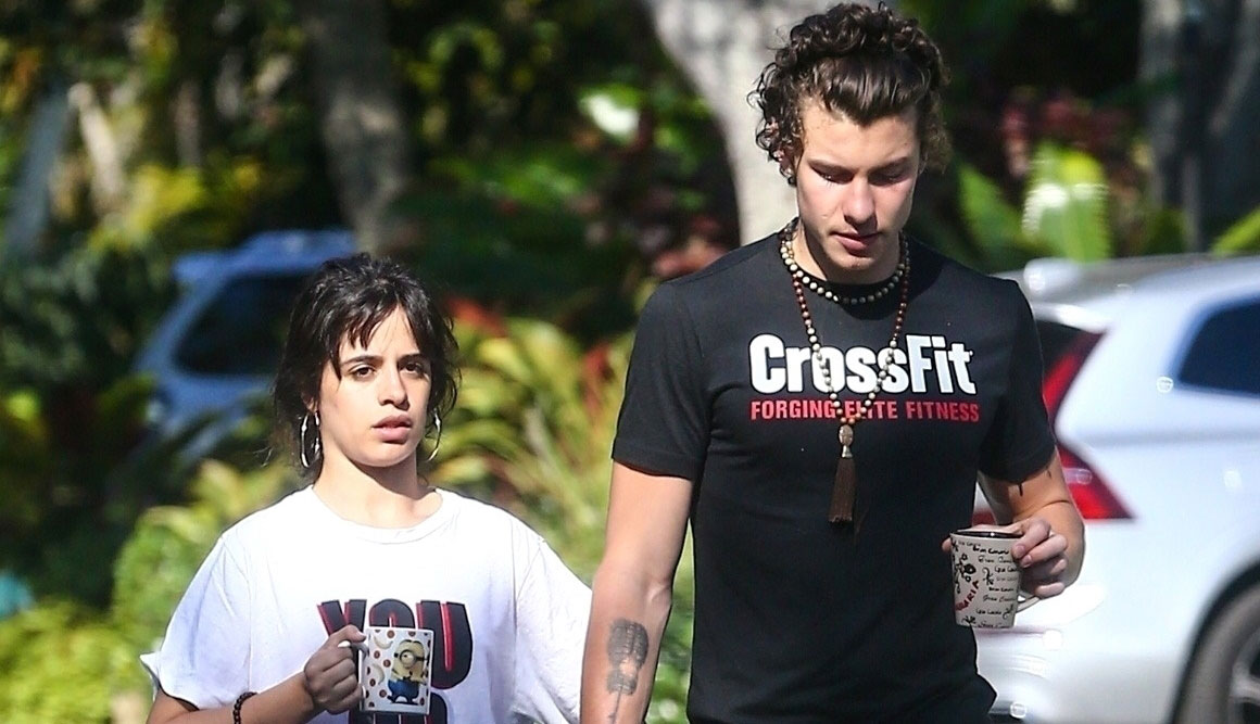 Shawn Mendes & Camila Cabello Go for Their Friday Morning Walk With