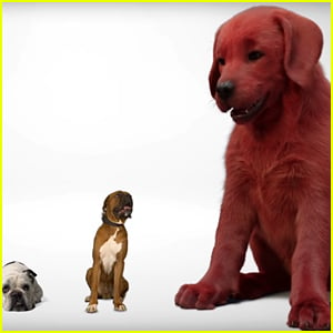 'Clifford the Big Red Dog' Movie Debuts First Look Teaser!
